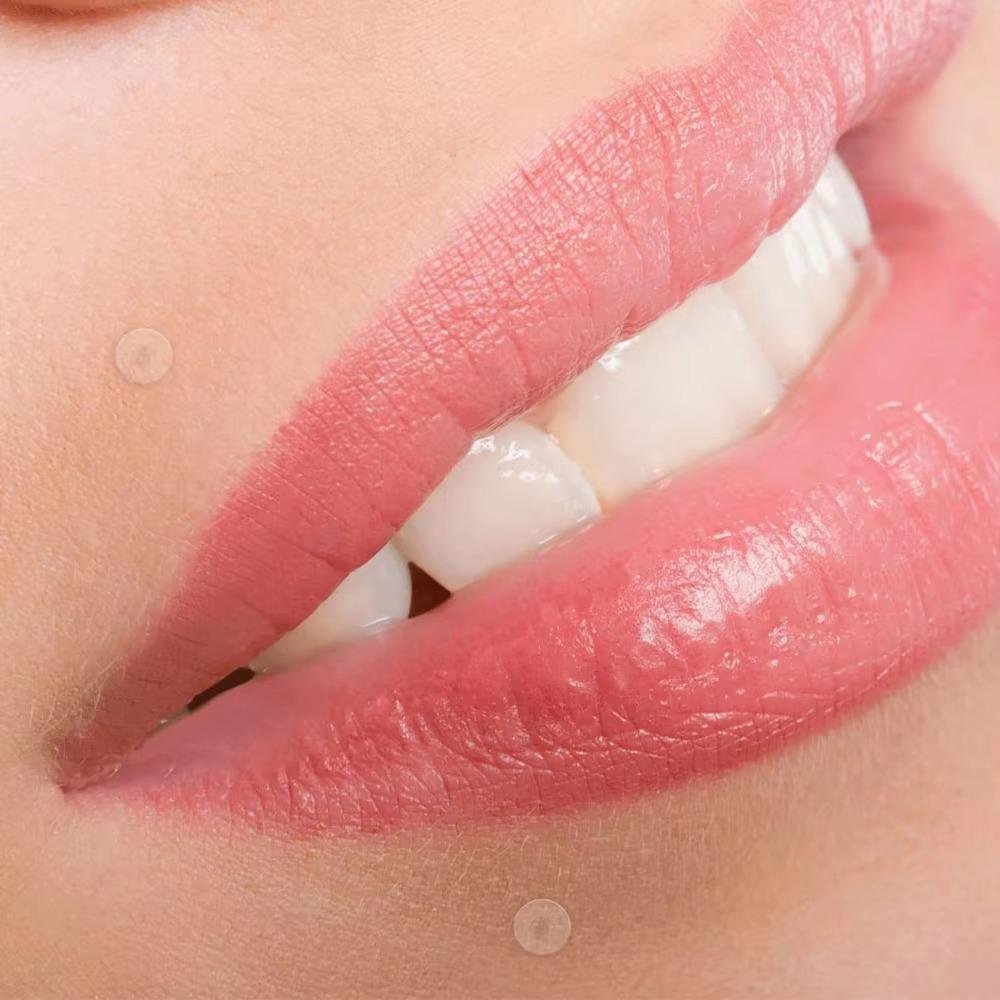 20pcs/Box 아크릴 둥근 공 입술 스터드/귀걸이  - Body Jewelry Materials 리뷰 및 가격