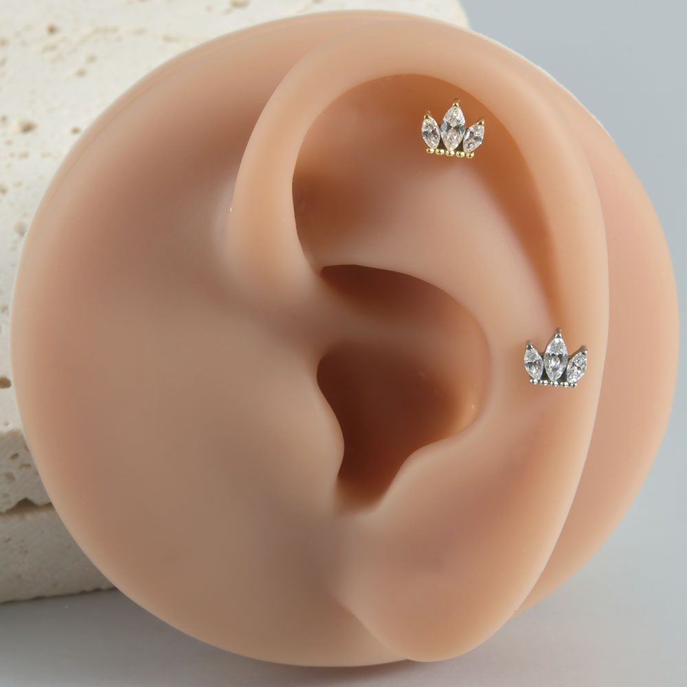 1PC ASTM F136 티타늄 CZ 귀 연골 귀걸이  - Body Jewelry Hoops 리뷰 및 가격
