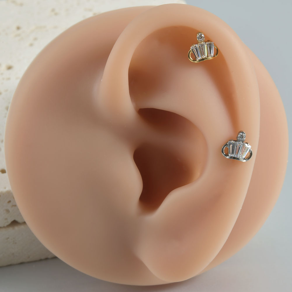 1PC ASTM F136 티타늄 CZ 귀 연골 귀걸이  - Body Jewelry Hoops 리뷰 및 가격